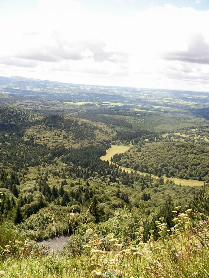 Domaine Des Lilas Saint-Germain-Lembron Kültér fotó
